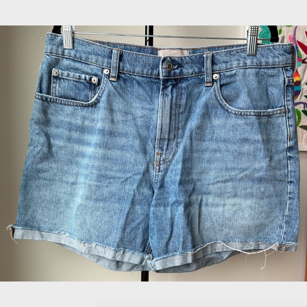 Everlane	The Denim Short - Size 32